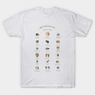 Shells Identification Chart T-Shirt